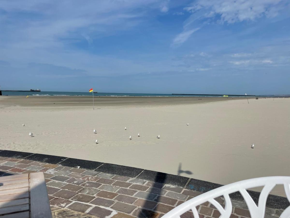 Villa Face Mer Aux Magnifiques Couchers De Soleil 5 Mn De Nausicaa 滨海布洛涅 外观 照片
